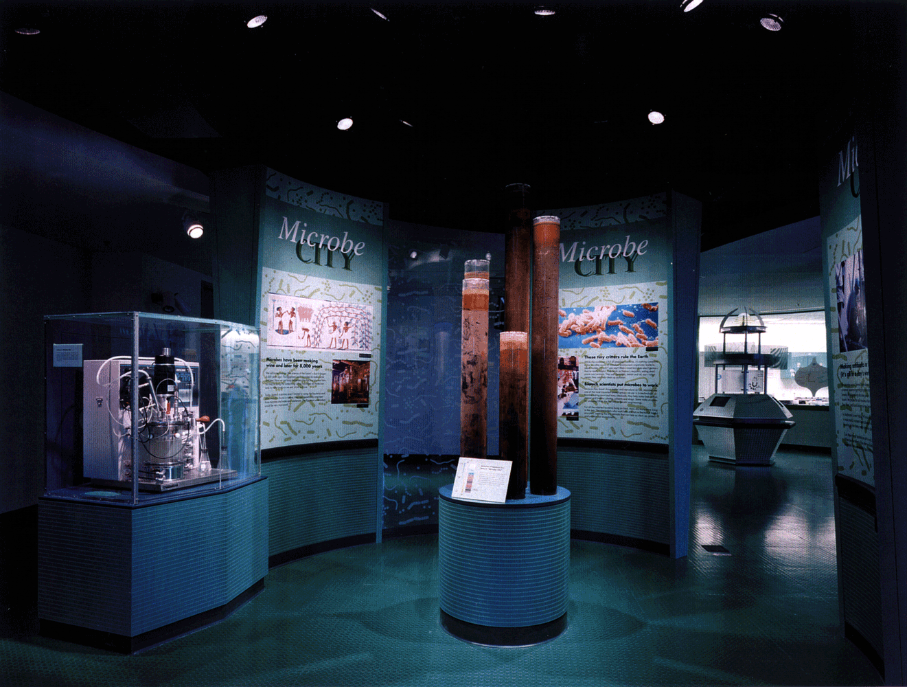 Image 1 Title